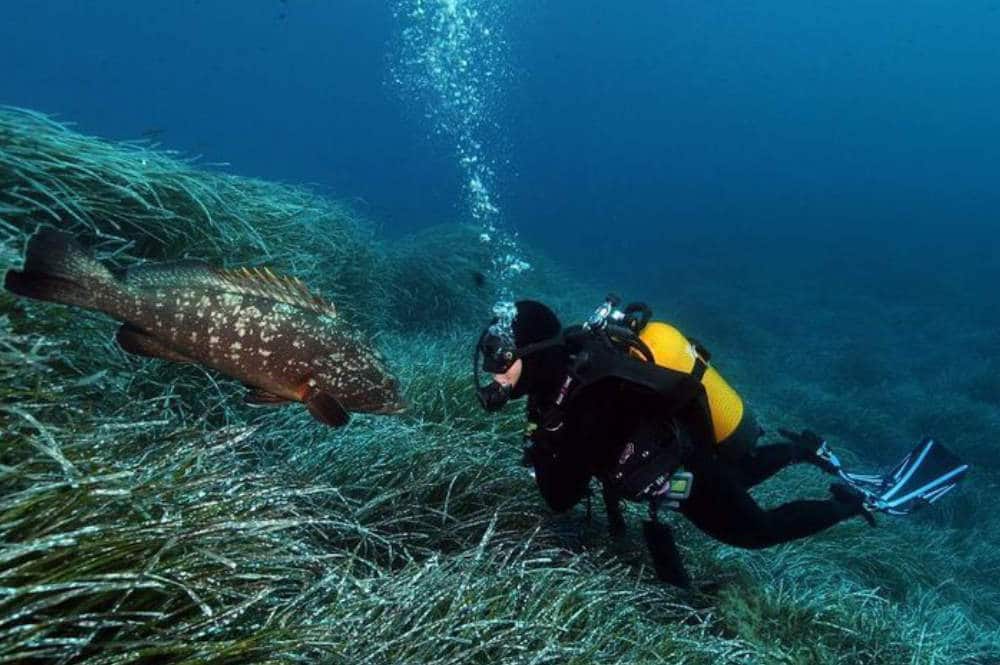 Explore the Var Region in group in the South of France