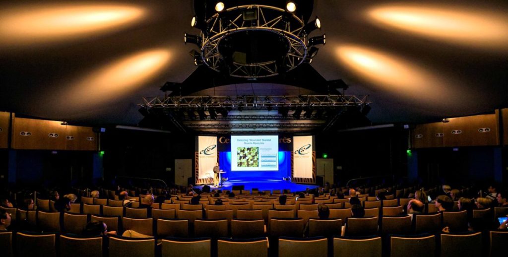 Séminaire en Camargue